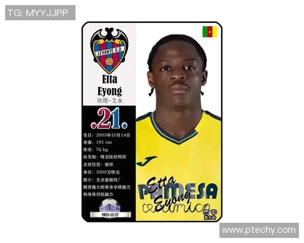 喀麦隆足球现役明星球员全名单及其精彩表现分析