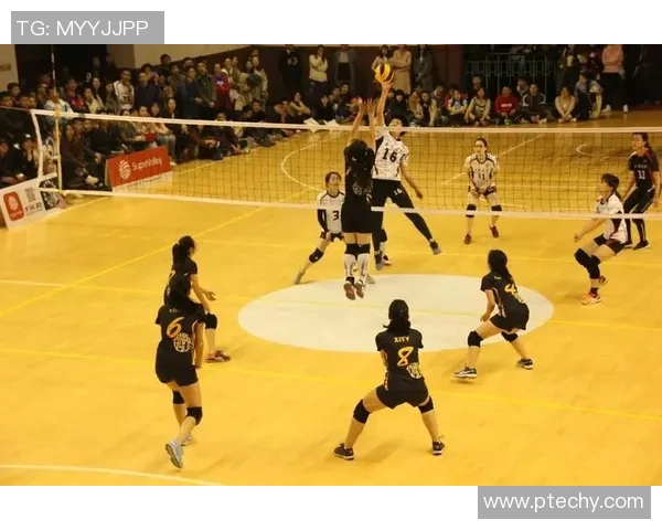 武汉排球队在锦标赛中的个人能力分析与表现评估